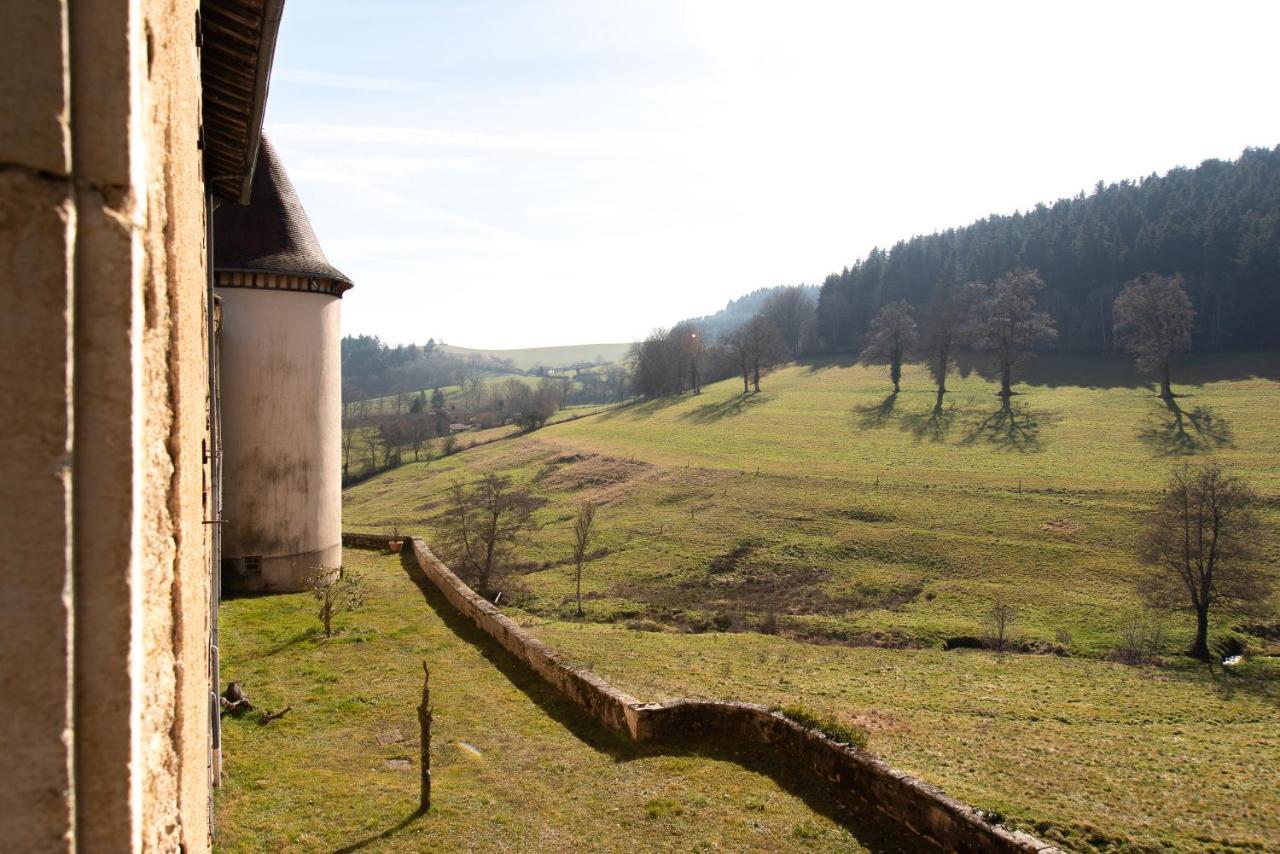 Chateau De Pramenoux Lamure-sur-Azergues Exterior photo